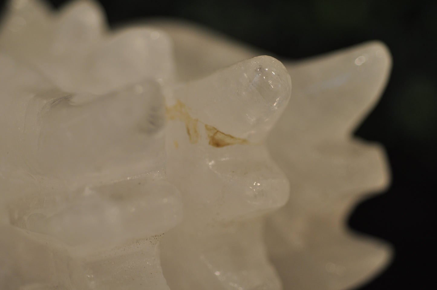 Clear Quartz Dragon Head - Imperfect