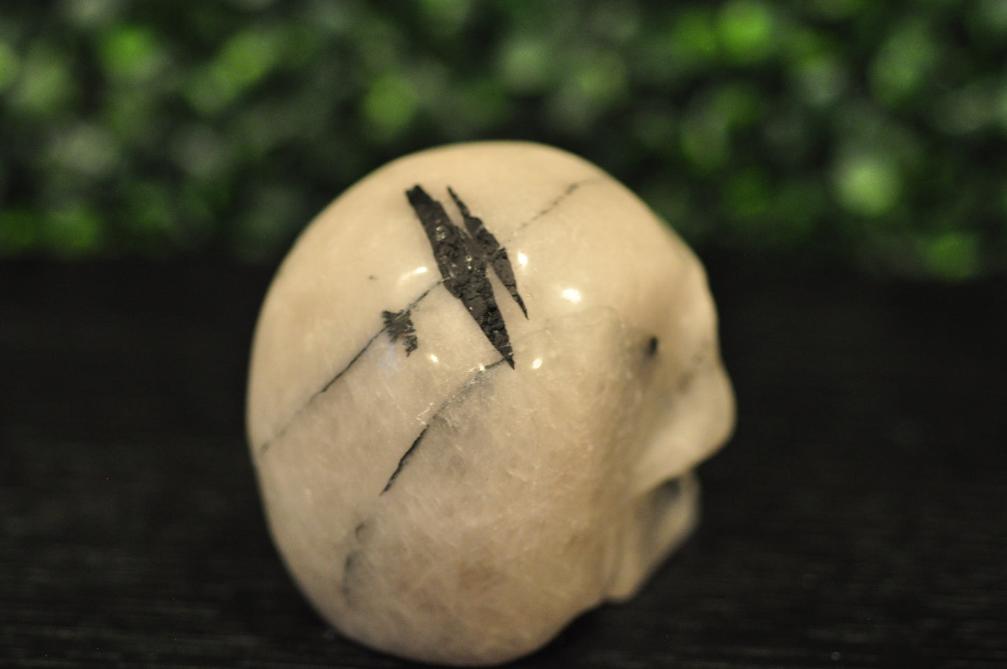 Black Tourmaline in Quartz Skull