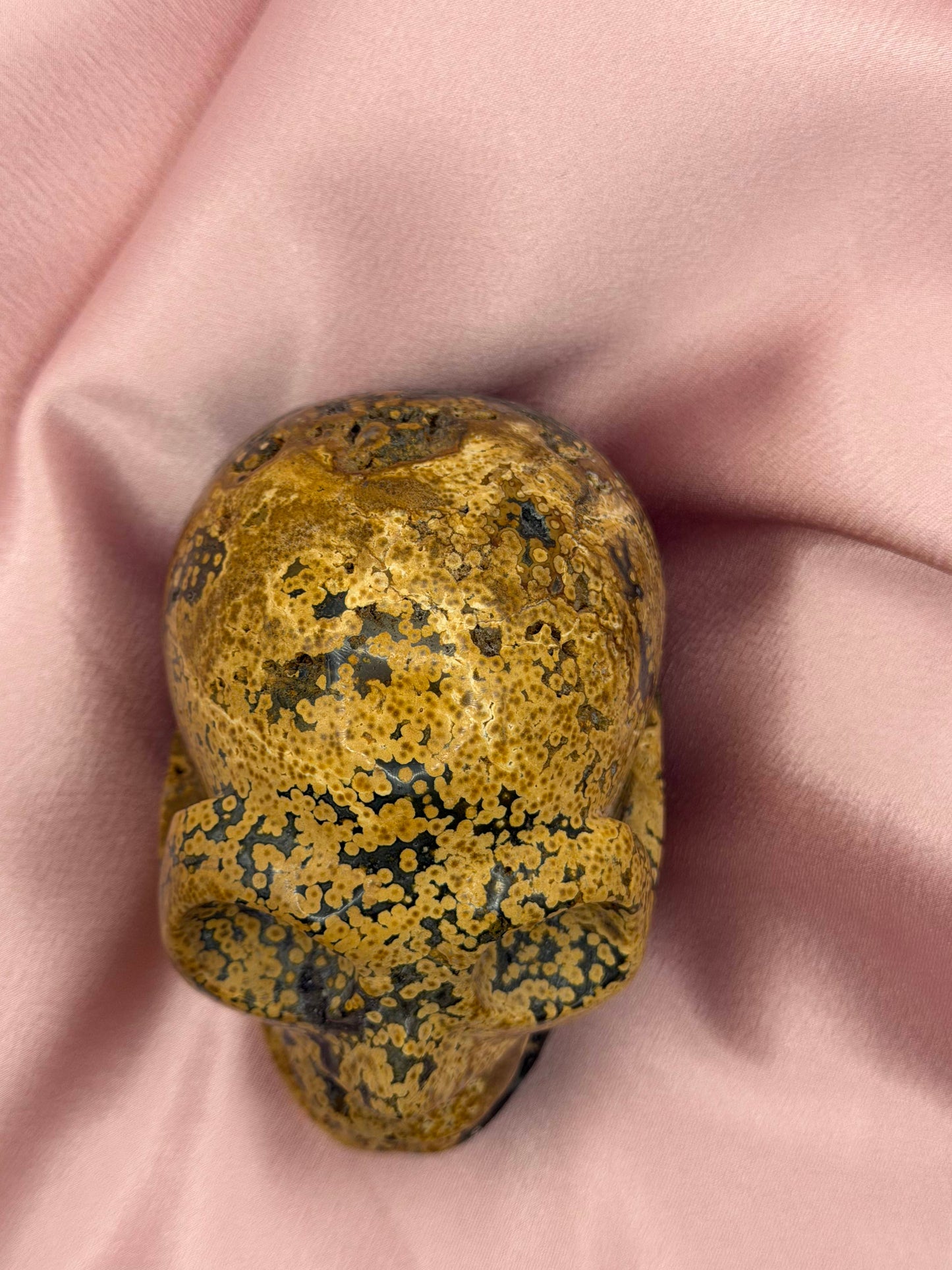 Orbicular Ocean Jasper Skull