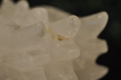 Clear Quartz Dragon Head - Imperfect
