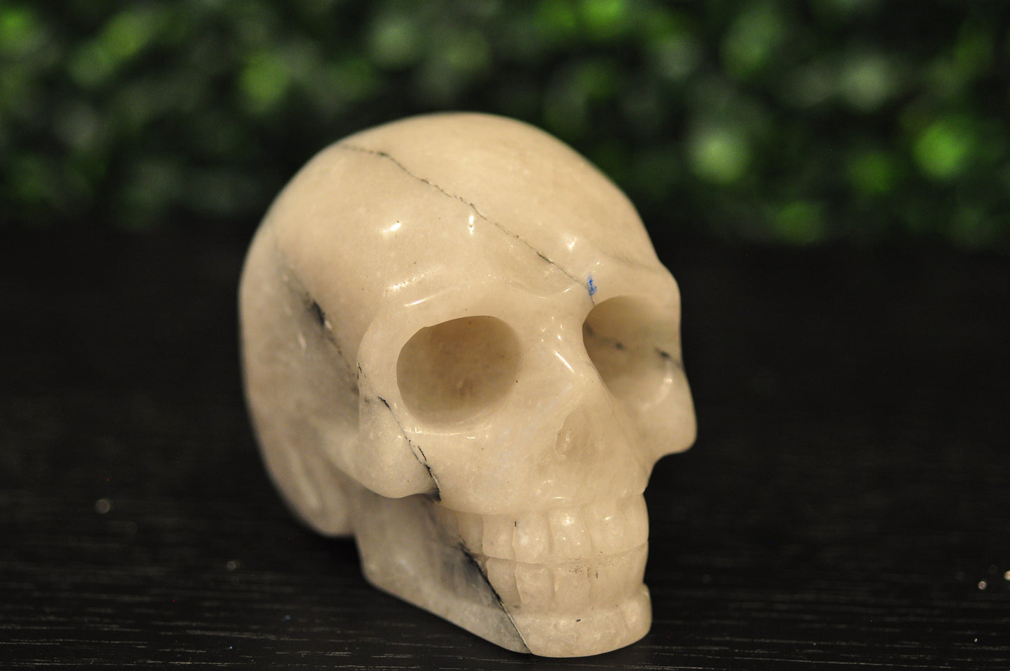 Black Tourmaline in Quartz Skull
