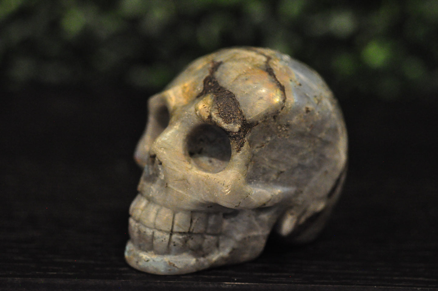 Labradorite Skull