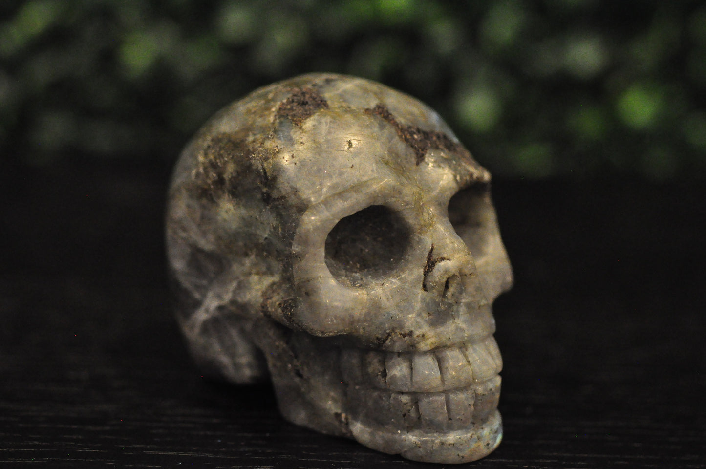 Labradorite Skull