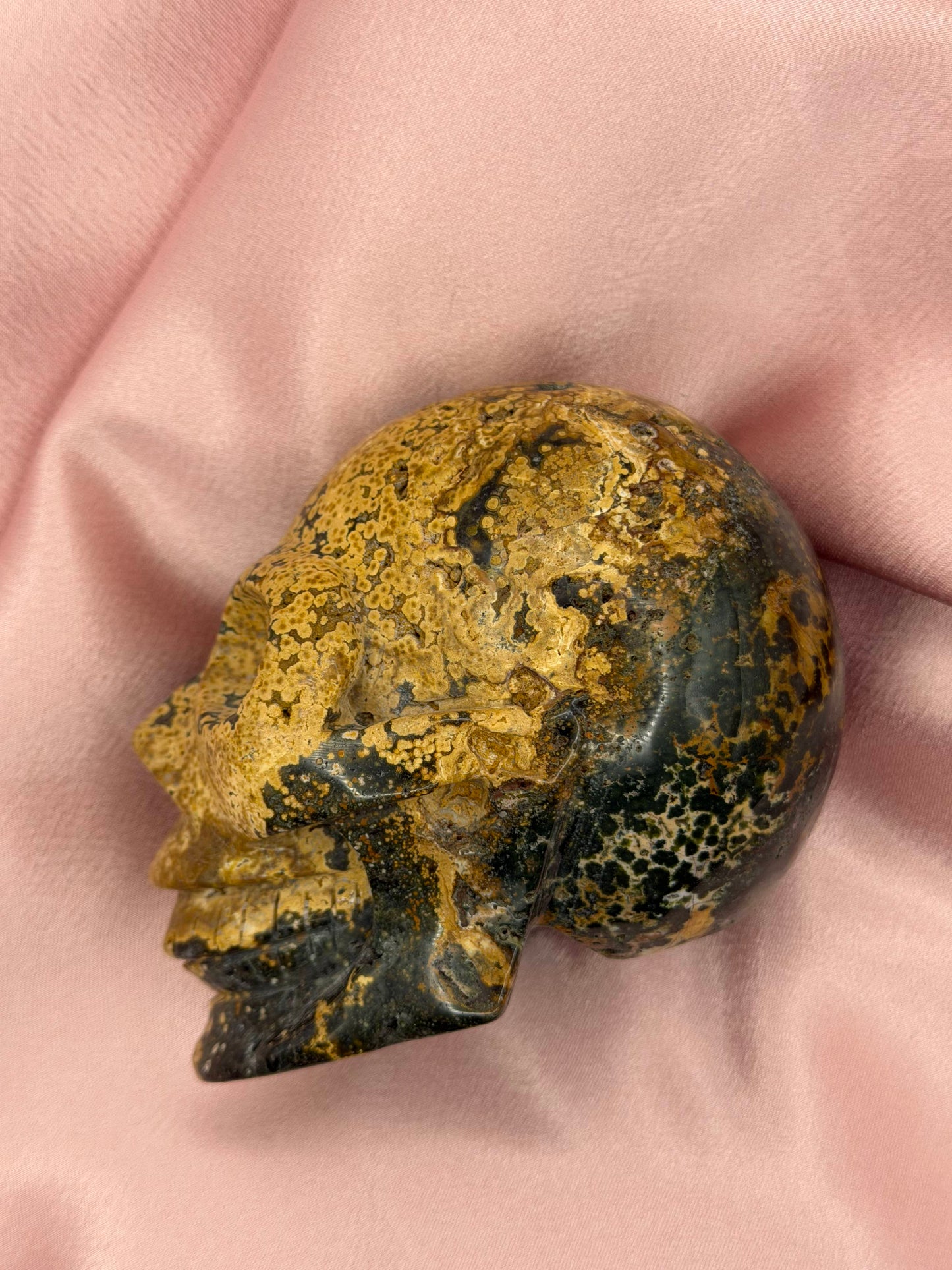 Orbicular Ocean Jasper Skull