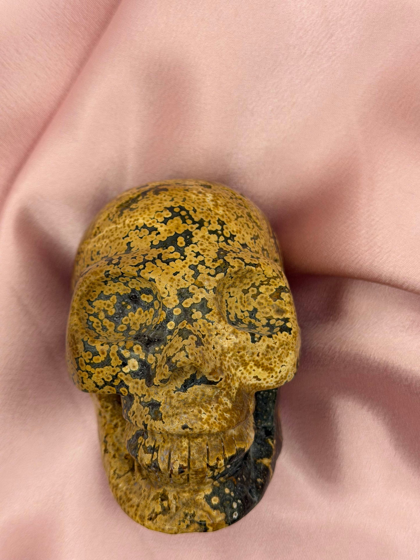 Orbicular Ocean Jasper Skull