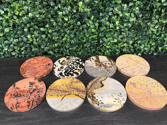 Picture Jasper Round Slabs - You Choose!