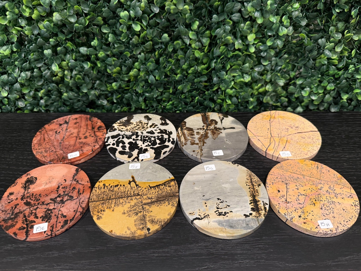 Picture Jasper Round Slabs - You Choose!