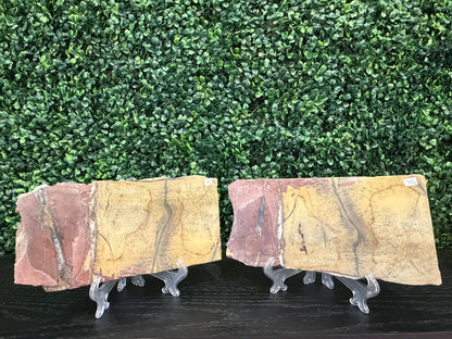 Picture Jasper Slab - You Choose!