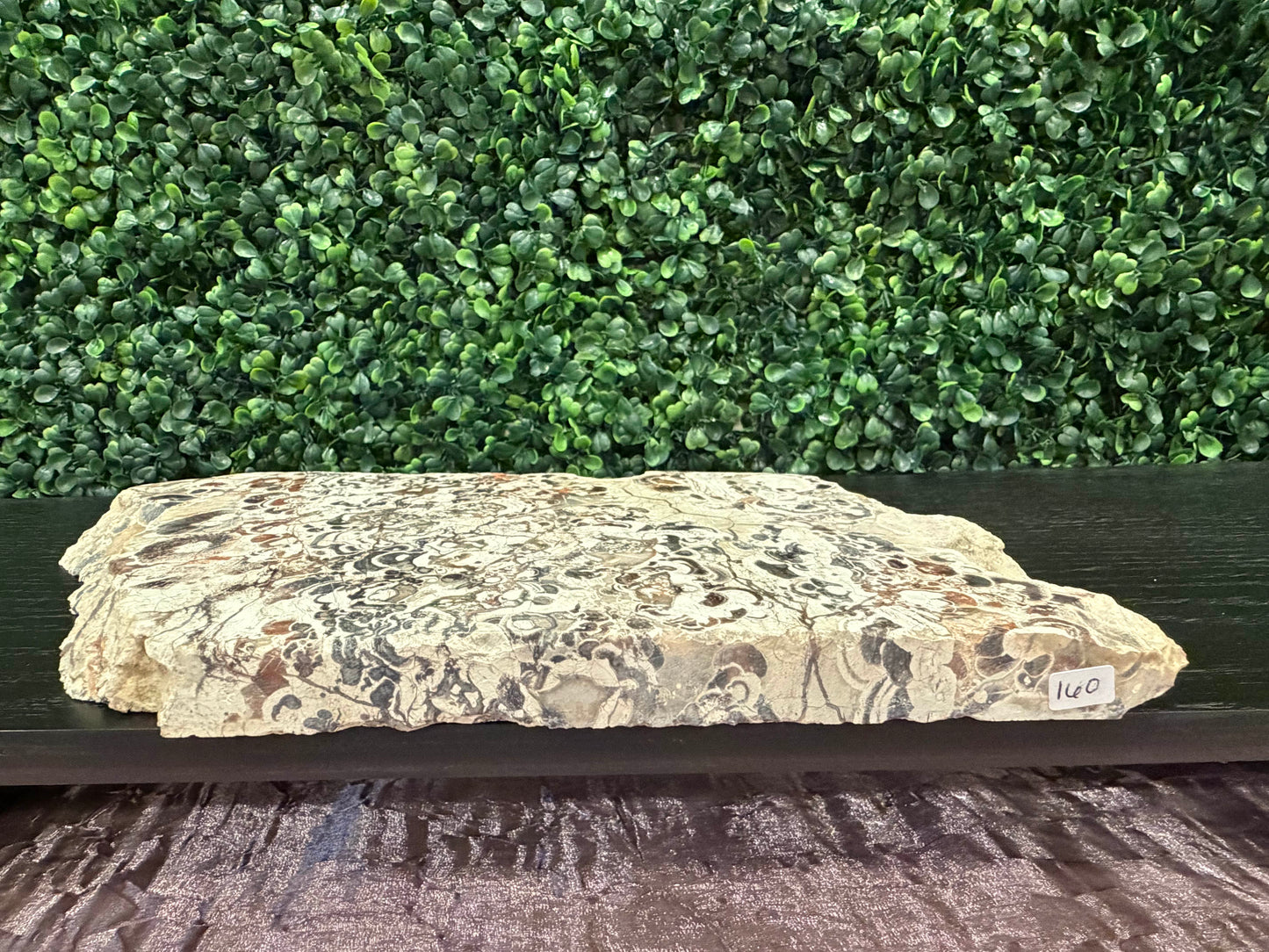 Money Agate Slab - You Choose!