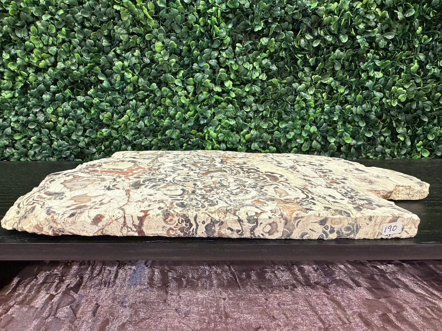 Money Agate Slab - You Choose!