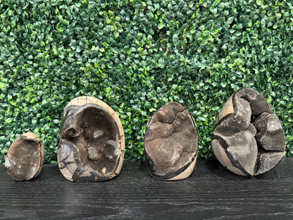 Septarian Druzy Eggs - You Choose!