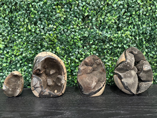 Septarian Druzy Eggs - You Choose!