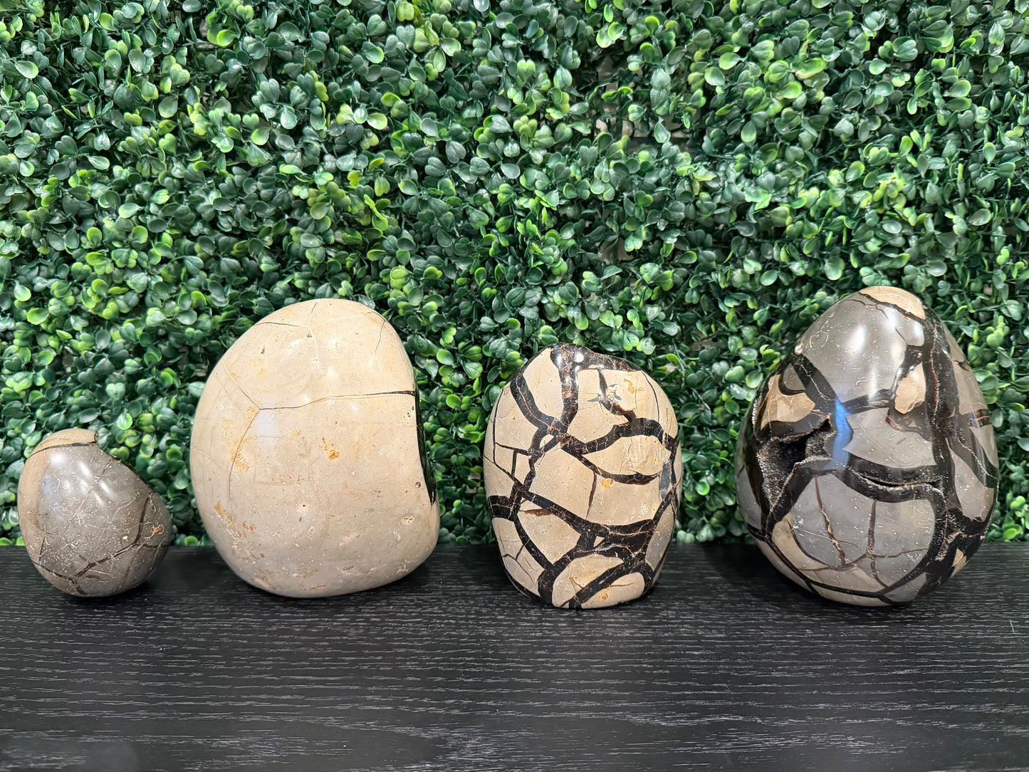 Septarian Druzy Eggs - You Choose!