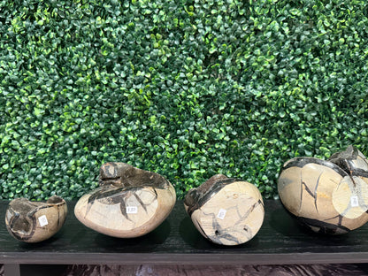 Septarian Druzy Eggs - You Choose!